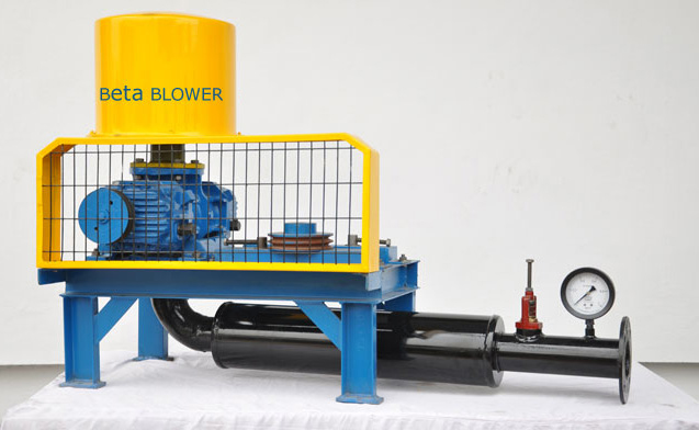 Twin-Lobe Compressors/Blowers