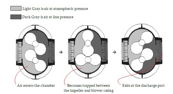 Lobe blower shop